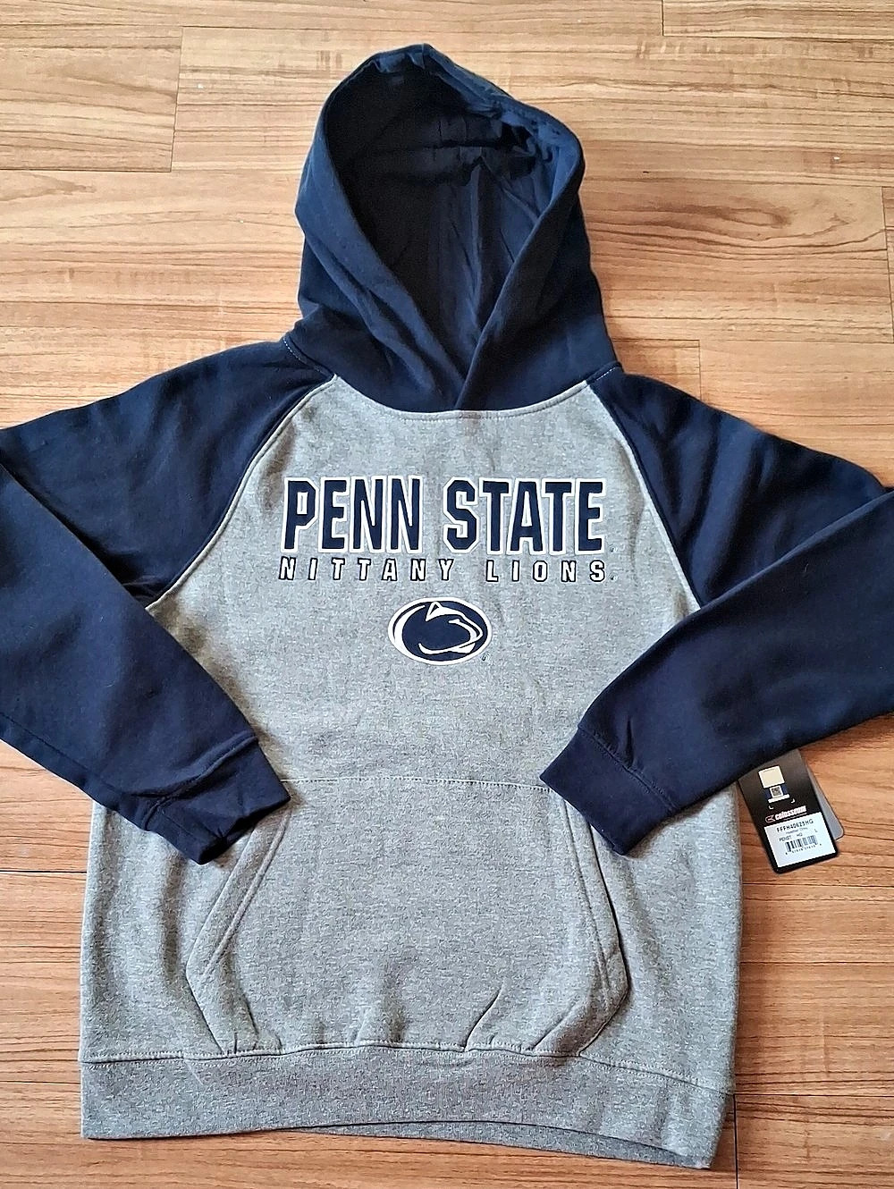 Colosseum Penn State Hoodie in Blue & Gray